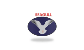 Seagull Energy Drink
